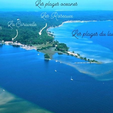 Studio Mansarde Climatise Les Roseaux Bord De Lac 비스카로세 외부 사진