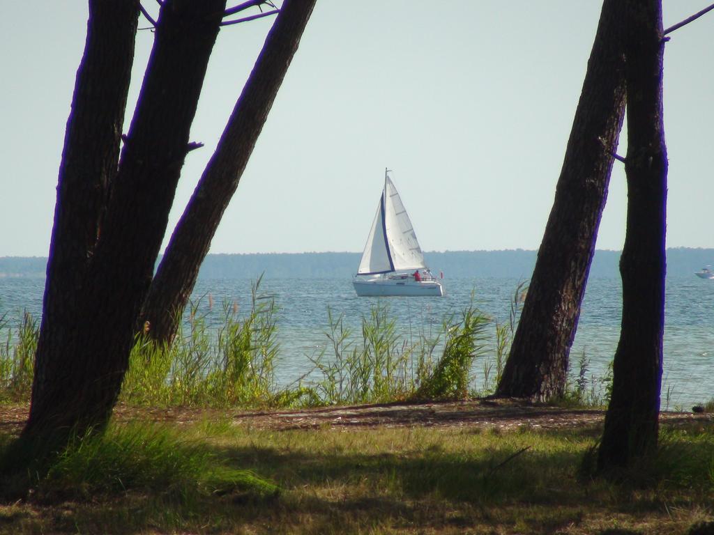 Studio Mansarde Climatise Les Roseaux Bord De Lac 비스카로세 외부 사진