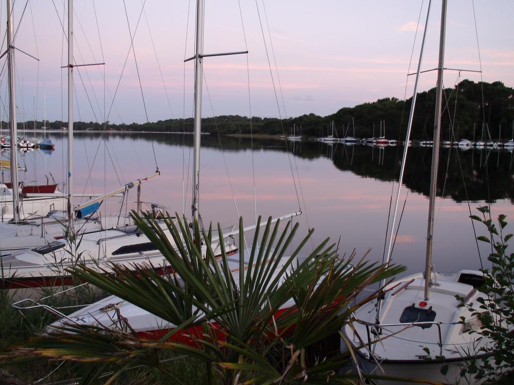 Studio Mansarde Climatise Les Roseaux Bord De Lac 비스카로세 외부 사진