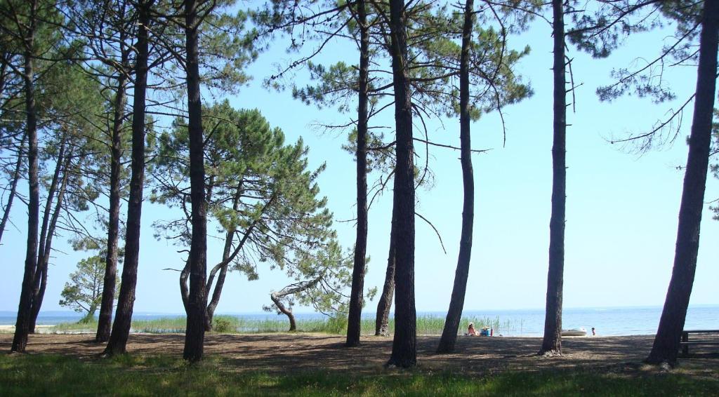 Studio Mansarde Climatise Les Roseaux Bord De Lac 비스카로세 외부 사진