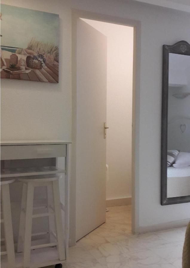 Studio Mansarde Climatise Les Roseaux Bord De Lac 비스카로세 외부 사진
